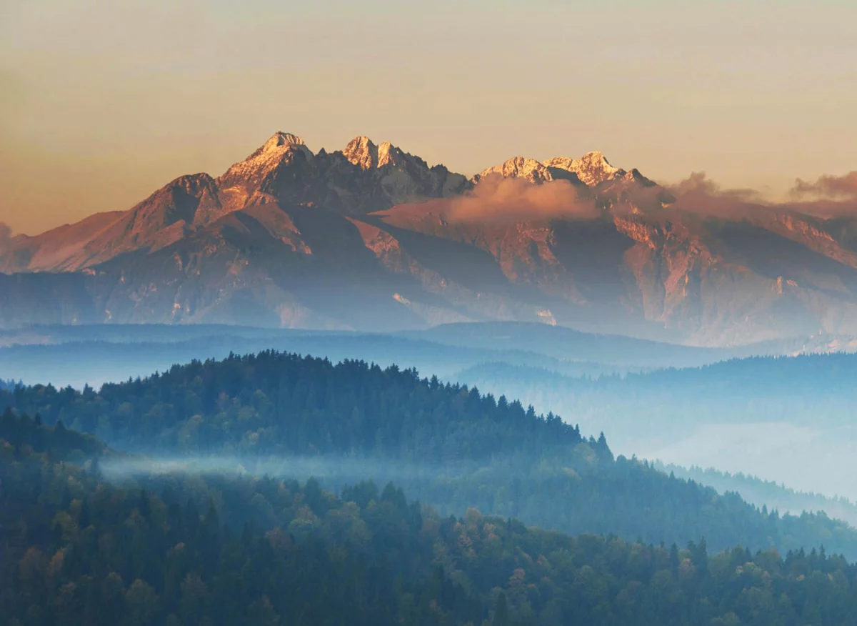 Tylko w tym wpisie dowiesz się jak profesjonalnie reklamować się