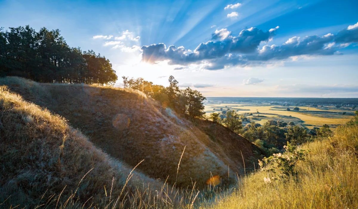 Czy znaleźć dentystę w Cieszynie to obowiązek?