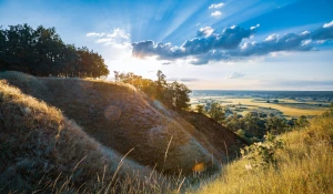Czy są nowe przepisy jak pozycjonować sklep internetowy?