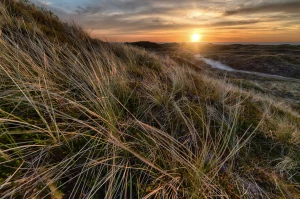Chciał Tylko Wydrukować Reklamę. Popełnił Błąd, Który Kosztował Go ...