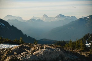 Kilka faktów jak robić tanie pozycjonowanie